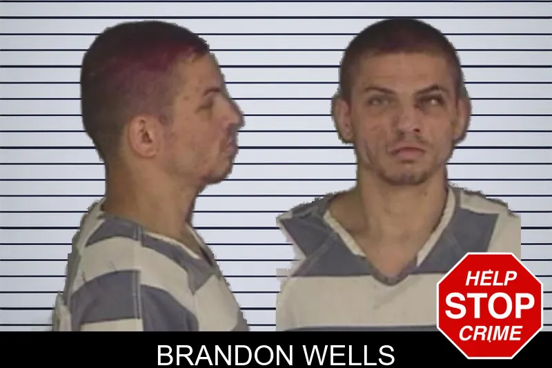 Brandon Wells mugshot