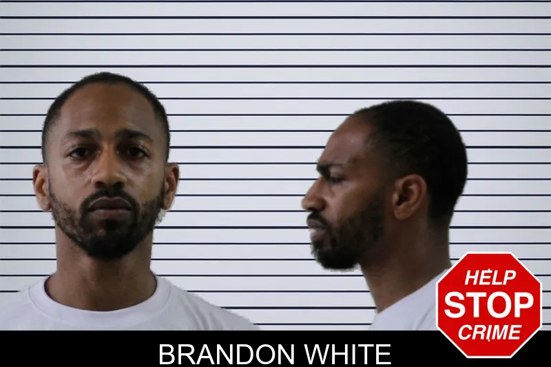 Brandon White mugshot