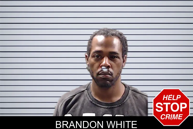 Brandon White mugshot