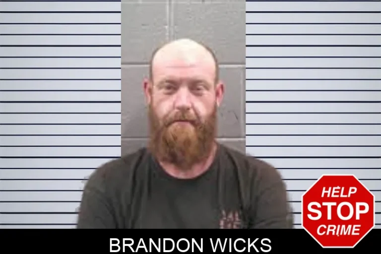 Brandon Wicks mugshot – Banks County , Georgia Brandon Wicks