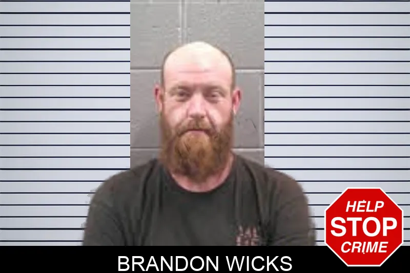 Brandon Wicks mugshot – Banks County , Georgia Brandon Wicks mugshot