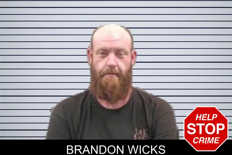Brandon Wicks mugshot – Banks County , Georgia Brandon Wicks mugshot