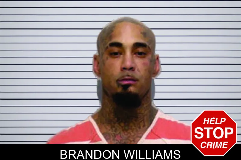 Brandon Williams mugshot – Meriwether County , Georgia Brandon Williams mugshot