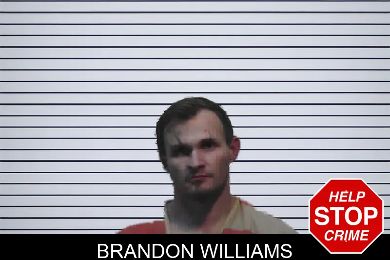 Brandon Williams mugshot – Meriwether County , Georgia Brandon Williams mugshot