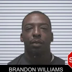 Brandon Williams mugshot – Coweta County , Georgia Brandon Williams mugshot