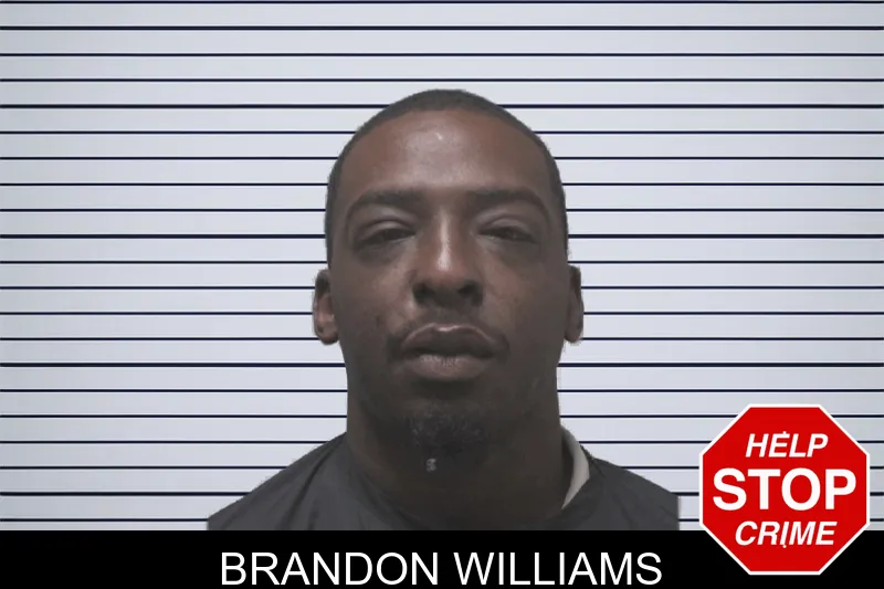 Brandon Williams mugshot – Coweta County , Georgia Brandon Williams mugshot