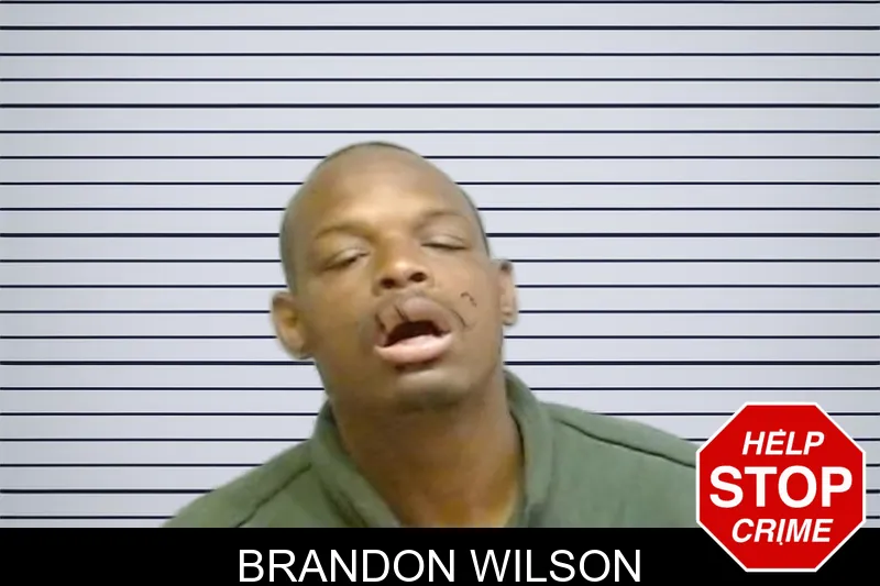 Brandon Wilson mugshot – Fulton County , Georgia Brandon Wilson mugshot