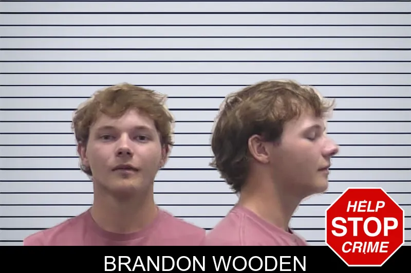 Brandon Wooden mugshot