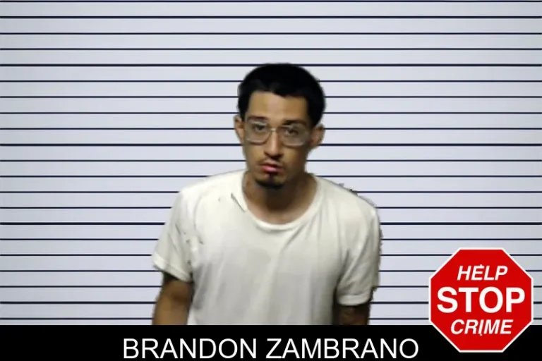Brandon Zambrano