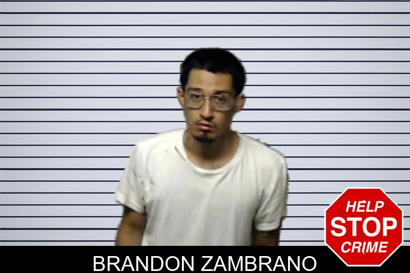 Brandon Zambrano mugshot