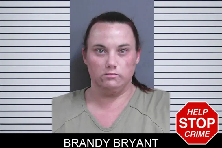 Brandy Bryant mugshot – Gordon County , Georgia Brandy Bryant