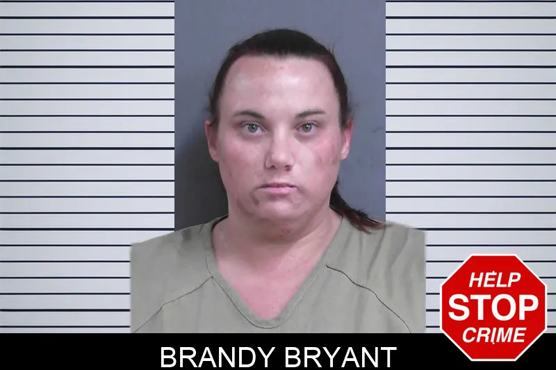 Brandy Bryant mugshot
