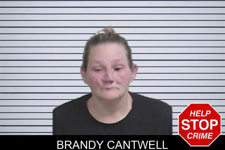 Brandy Cantwell mugshot – Wayne County , Georgia Brandy Cantwell