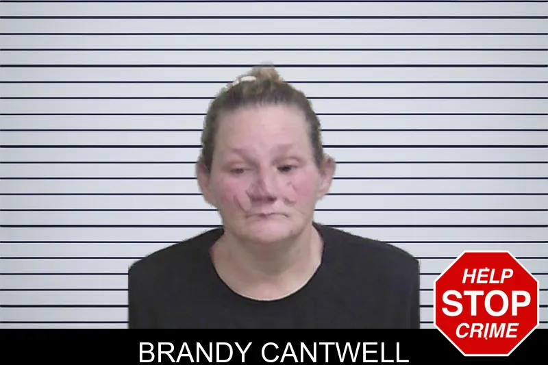 Brandy Cantwell mugshot