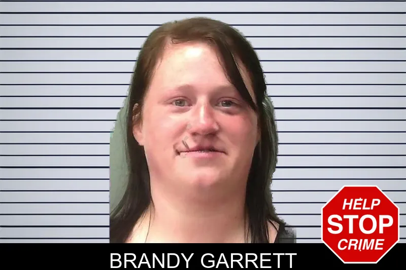 Brandy Garrett mugshot