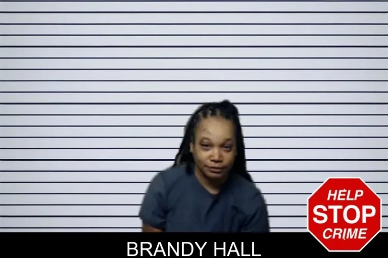Brandy Hall mugshot – DeKalb County , Georgia Brandy Hall