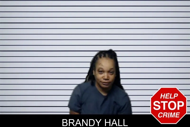 Brandy Hall mugshot