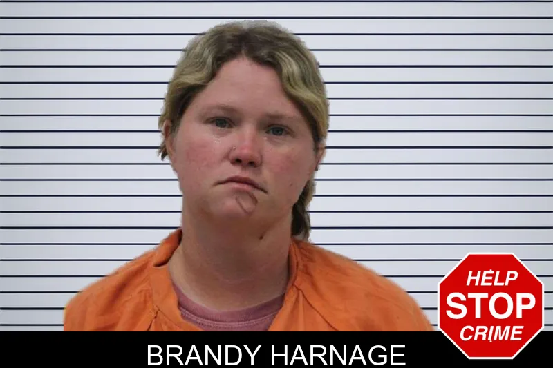 Brandy Harnage mugshot