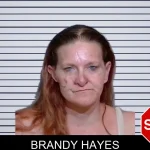 Brandy Hayes mugshot