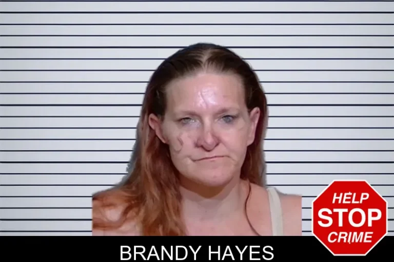 Brandy Hayes