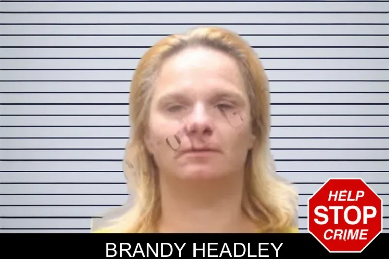 Brandy Headley