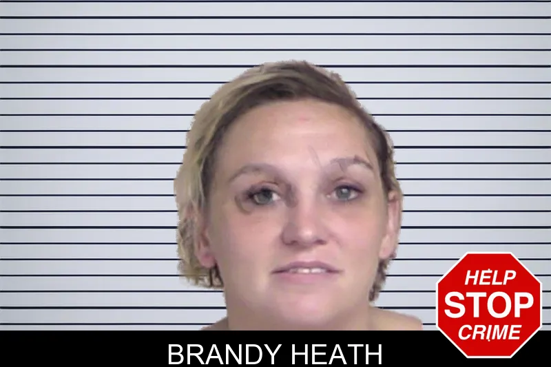 Brandy Heath mugshot