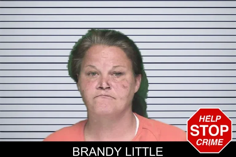 Brandy Little