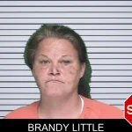 Brandy Little mugshot
