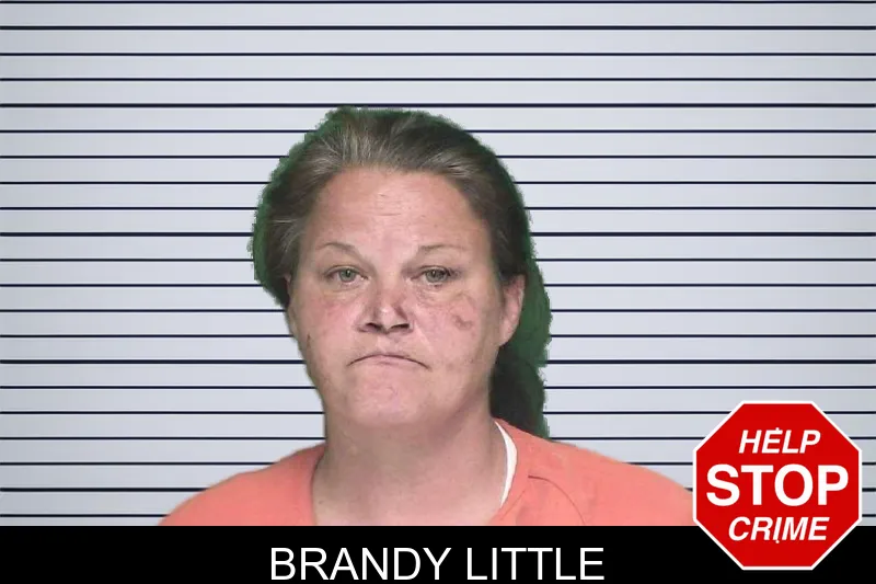 Brandy Little mugshot