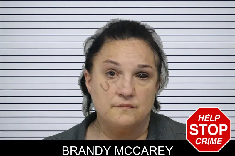 Brandy McCarey mugshot