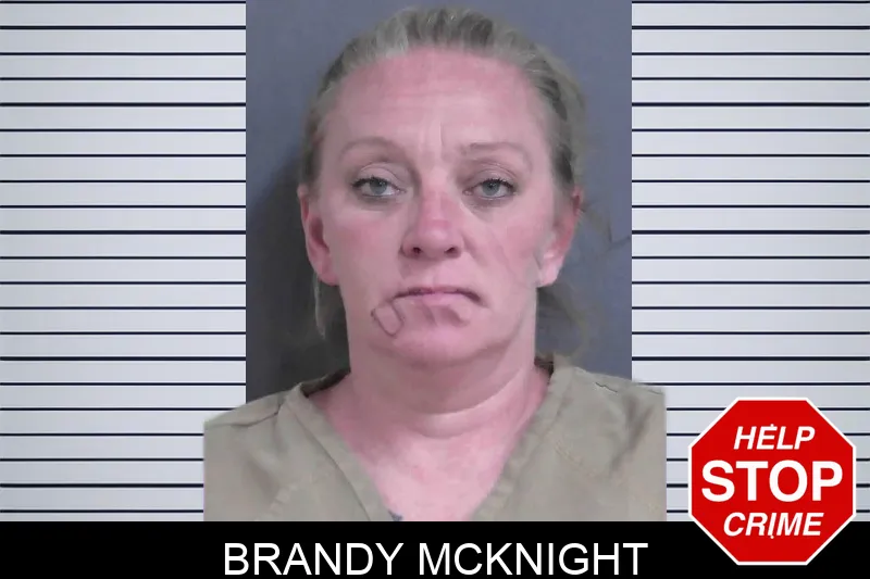 Brandy McKnight mugshot