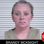 Brandy McKnight mugshot