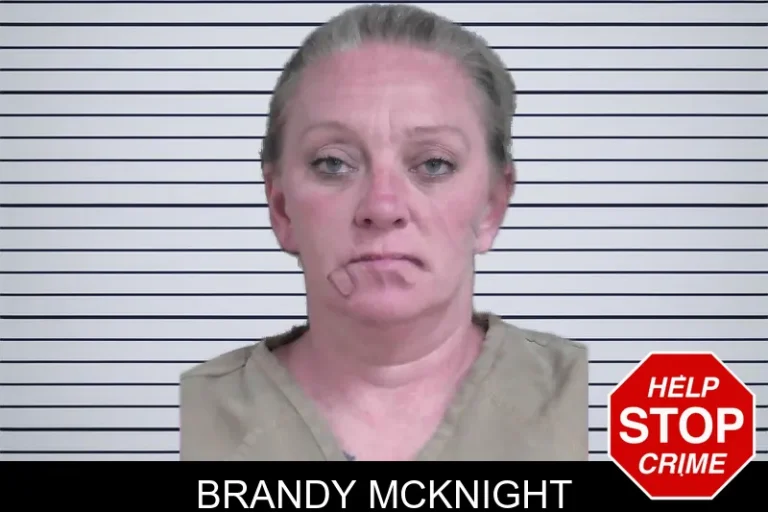Brandy McKnight mugshot – Gordon County , Georgia Brandy McKnight