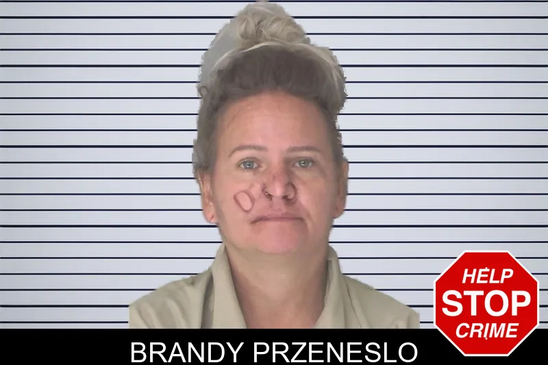 Brandy Przeneslo mugshot