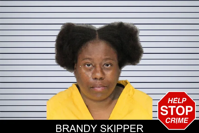 Brandy Skipper mugshot – Cobb County , Georgia Brandy Skipper mugshot