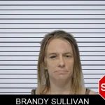 Brandy Sullivan mugshot – Bibb County , Georgia Brandy Sullivan mugshot