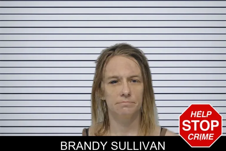 Brandy Sullivan mugshot – Bibb County , Georgia Brandy Sullivan