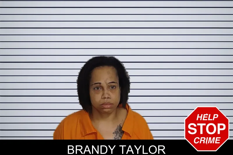 Brandy Taylor mugshot