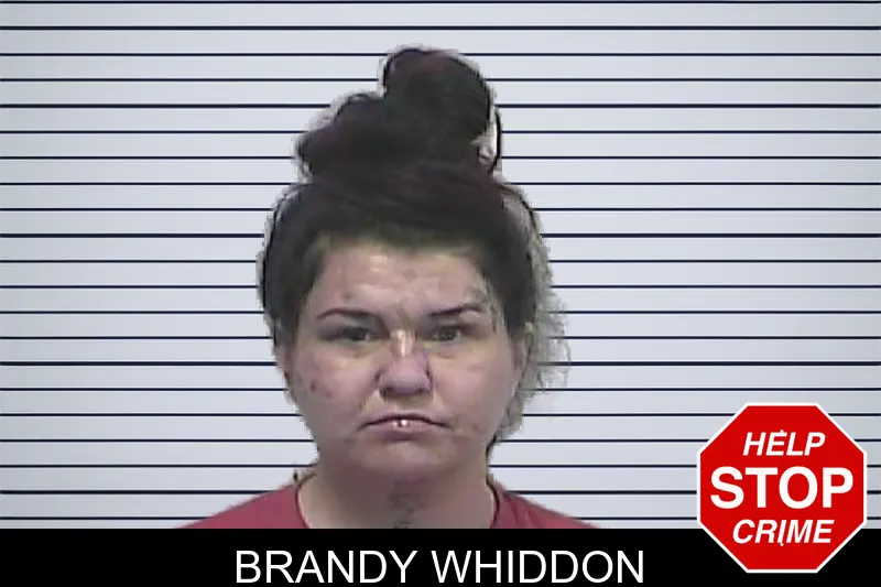 Brandy Whiddon mugshot