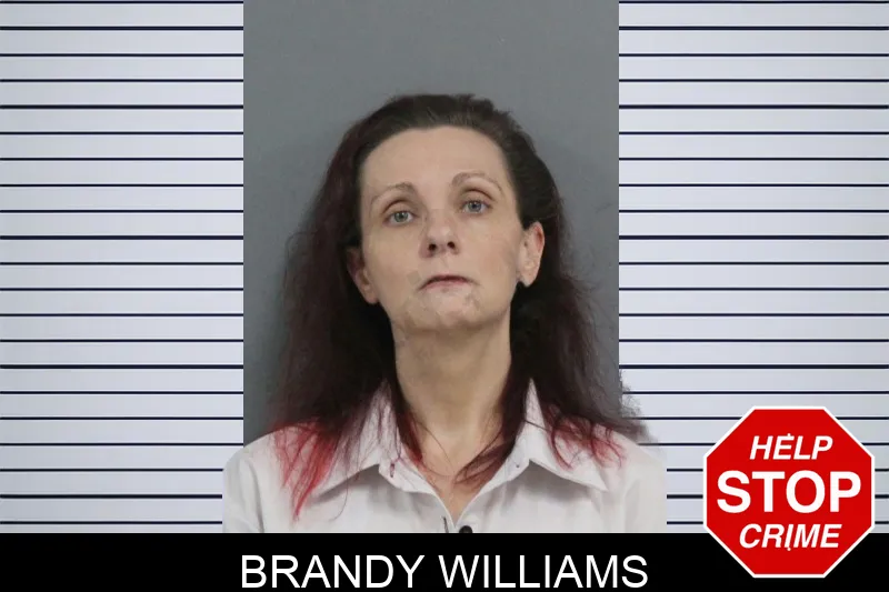 Brandy Williams mugshot