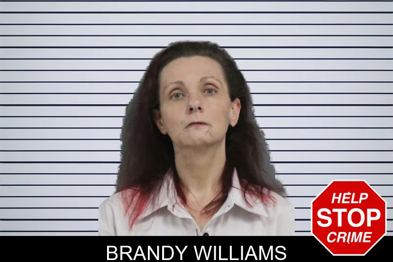 Brandy Williams mugshot – Catoosa County , Georgia Brandy Williams mugshot