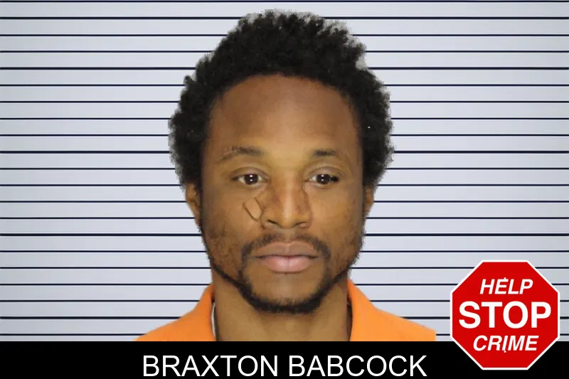 Braxton Babcock mugshot – Cobb County , Georgia Braxton Babcock mugshot