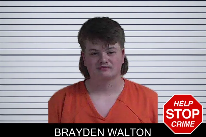 Brayden Walton mugshot