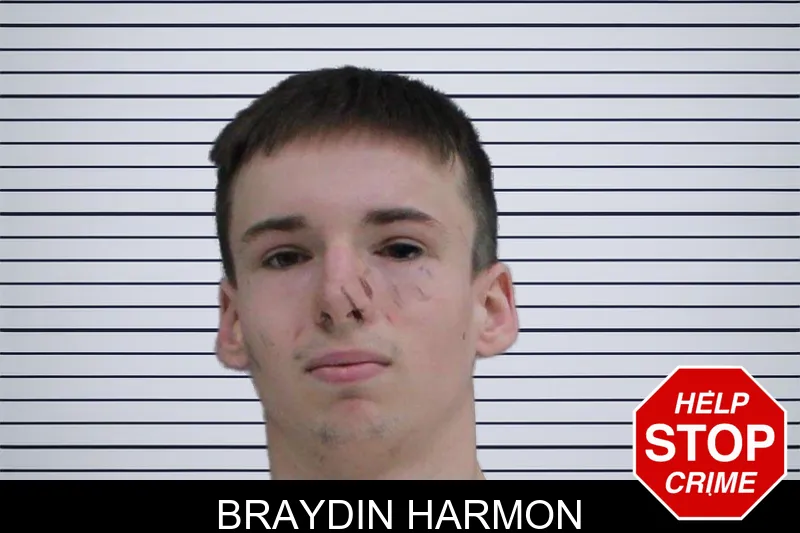 Braydin Harmon mugshot – Rabun County , Georgia Braydin Harmon mugshot