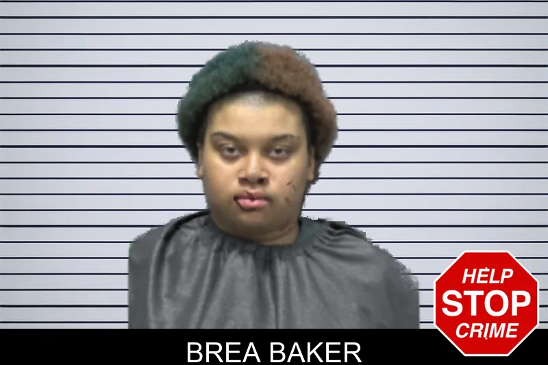 Brea Baker mugshot