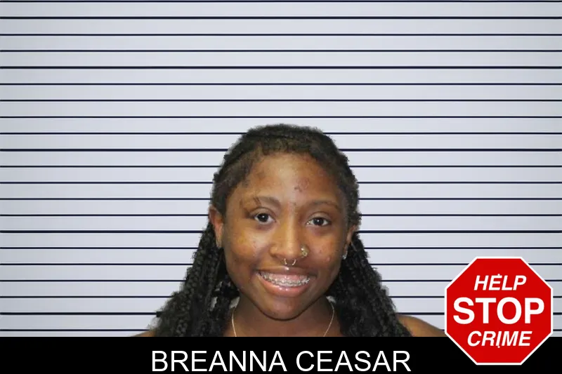 Breanna Ceasar mugshot – Thomas County , Georgia Breanna Ceasar mugshot