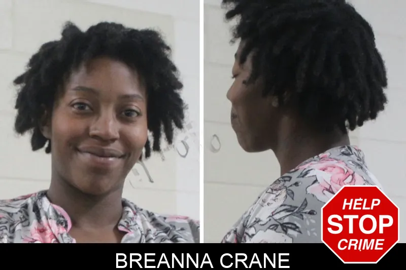 Breanna Crane mugshot – Houston County , Georgia Breanna Crane mugshot