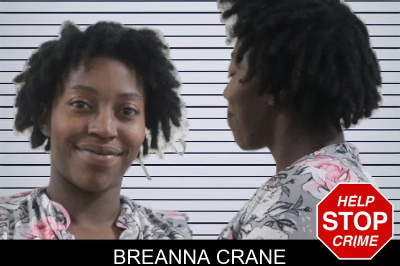 Breanna Crane mugshot – Houston County , Georgia Breanna Crane mugshot