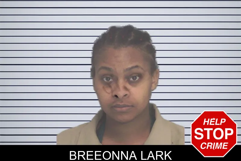 Breeonna Lark mugshot