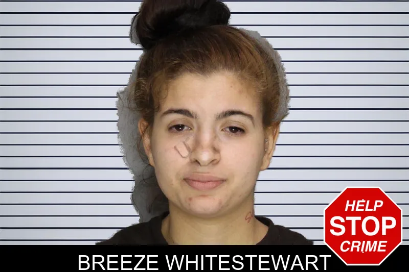 Breeze Whitestewart mugshot – Cobb County , Georgia Breeze Whitestewart mugshot